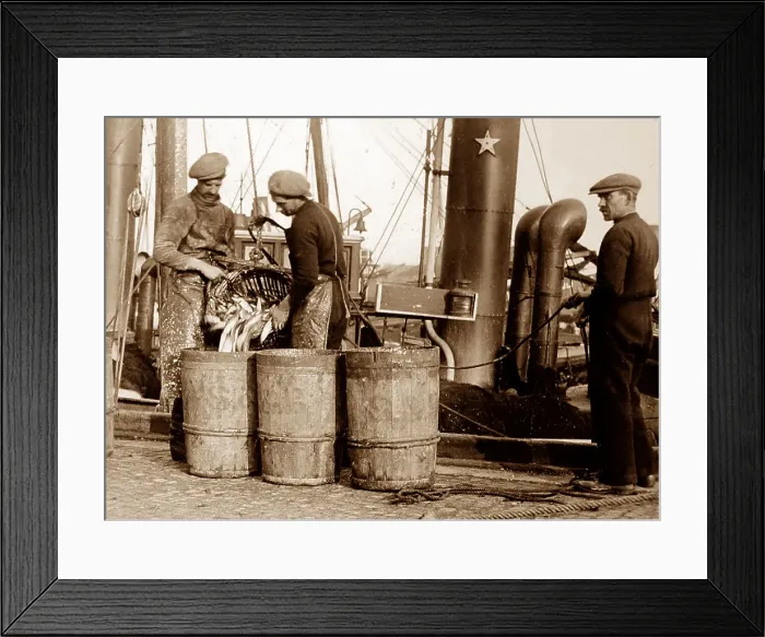 Framed Print : Herring fishing, Great Yarmouth