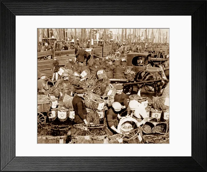 Framed Print : Herring fishing, Great Yarmouth Framed Print : Herring fishing, Great Yarmouth