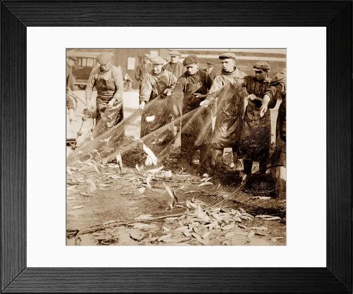 Framed Print : Herring fishing, Great Yarmouth Framed Print : Herring fishing, Great Yarmouth