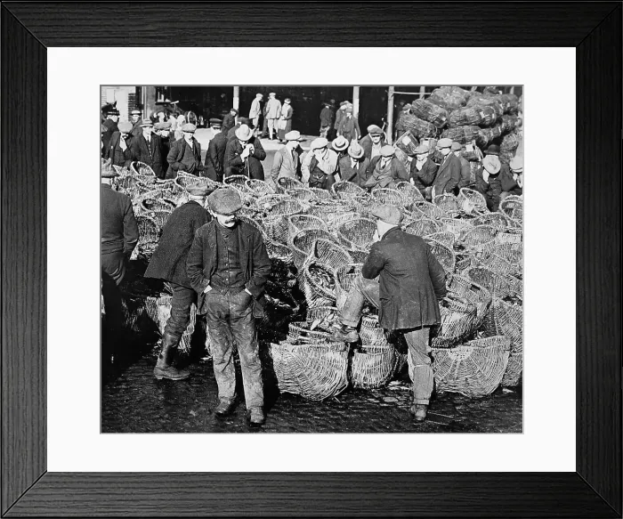 Framed Print : Herring fishing, Great Yarmouth, early 1900s Framed Print : Herring fishing, Great Yarmouth, early 1900s