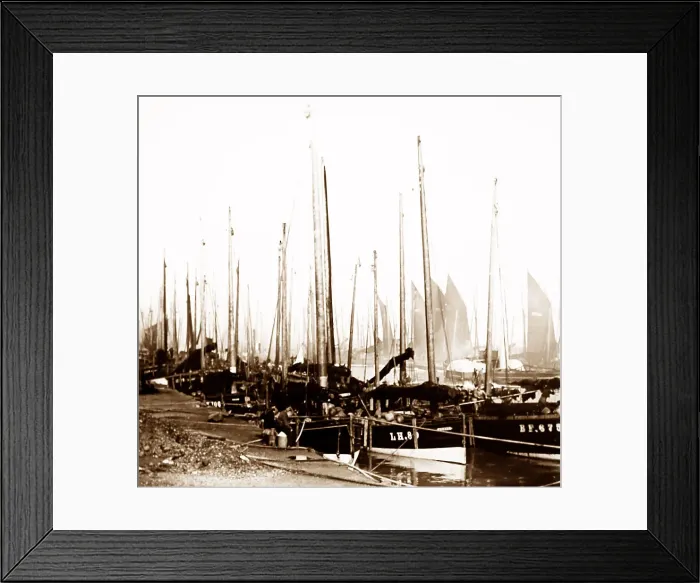 Framed Print : Fishing boats, Great Yarmouth, early 1900s Framed Print : Fishing boats, Great Yarmouth, early 1900s