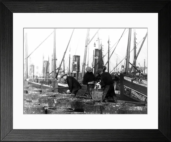 Framed Print : Herring fishing, Great Yarmouth Framed Print : Herring fishing, Great Yarmouth