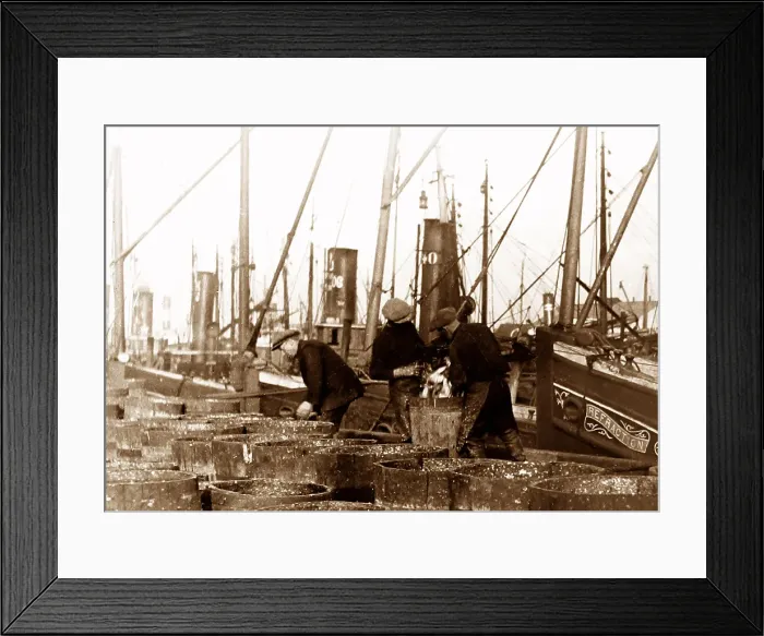 Framed Print : Fishing boats, Great Yarmouth, early 1900s Framed Print : Fishing boats, Great Yarmouth, early 1900s