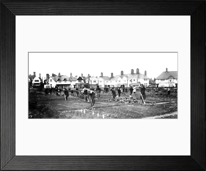 Framed Print : Junior's allotments, Port Sunlight, Wirral Framed Print : Junior's allotments, Port Sunlight, Wirral