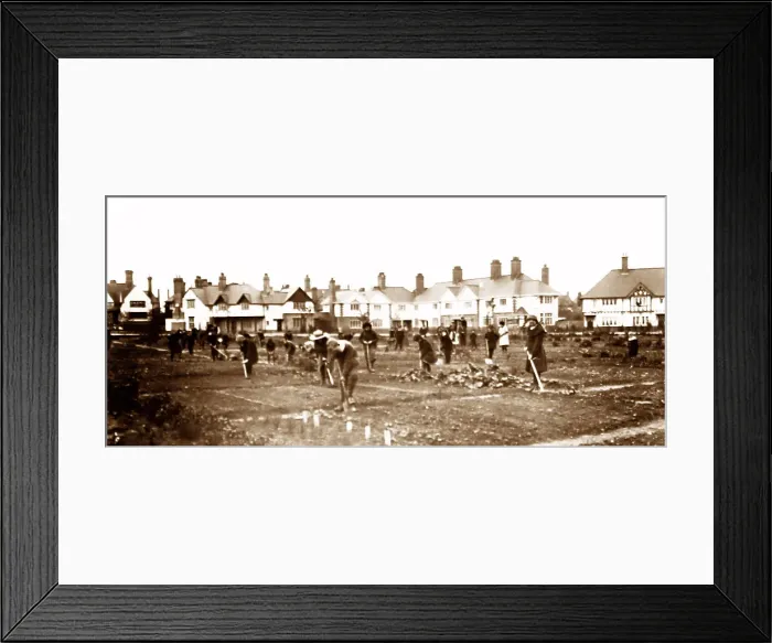 Framed Print : Junior's allotments, Port Sunlight, Wirral Framed Print : Junior's allotments, Port Sunlight, Wirral