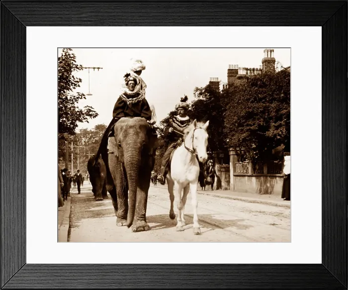 Framed Print : Sanger's Circus parade / procession, early 1900s Framed Print : Sanger's Circus parade / procession, early 1900s