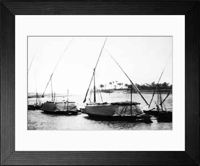 Framed Print : Sailing boats carrying grain on the River Nile, Egypt Framed Print : Sailing boats carrying grain on the River Nile, Egypt