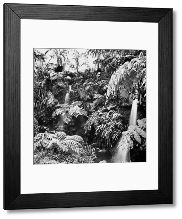 Framed Print : The Australian Waterfall, The Franco-British Exhibition