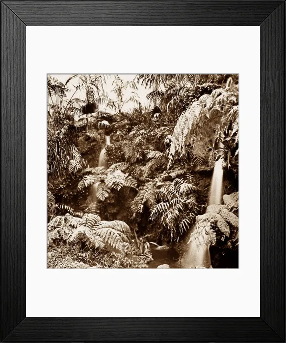 Framed Print : Australian Waterfall, Franco British White City Framed Print : Australian Waterfall, Franco British White City