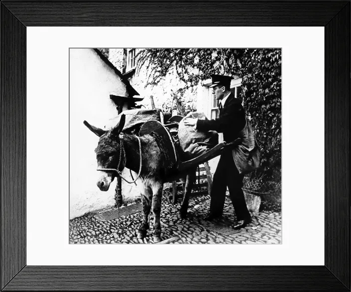 Framed Print : Delivery the post with a donkey, early 1900s Framed Print : Delivery the post with a donkey, early 1900s