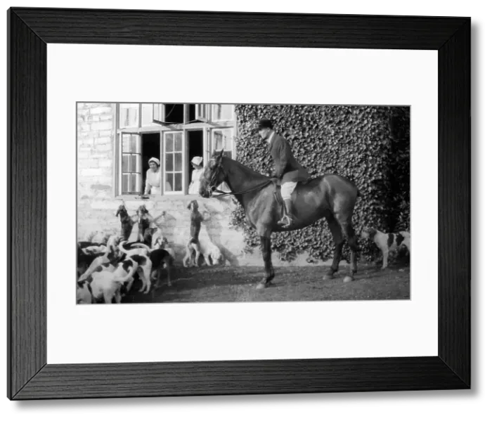 Framed Print : Harriers Hunt at Cockington Court, Devon, early 1900s Framed Print : Harriers Hunt at Cockington Court, Devon, early 1900s