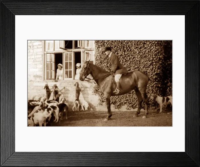 Framed Print : Haldon Harriers, Cockington Framed Print : Haldon Harriers, Cockington