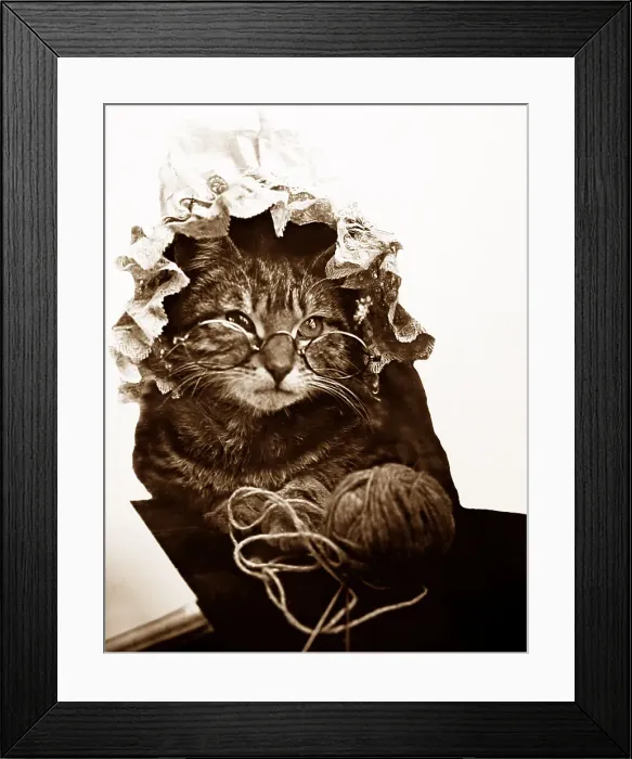 Framed Print : Anthropomorphic cat Framed Print : Anthropomorphic cat
