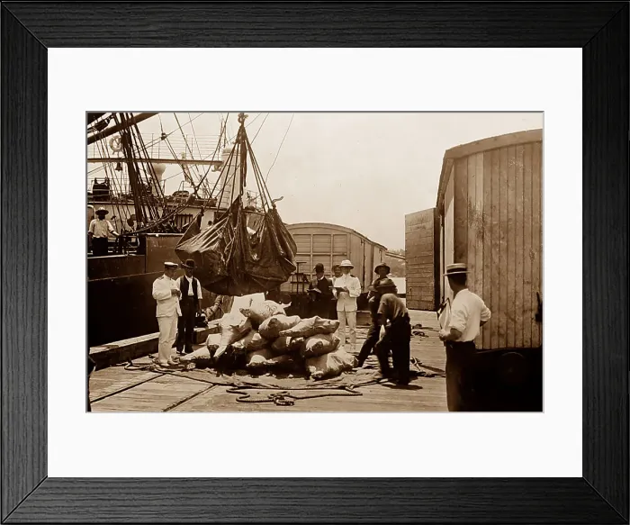 Framed Print : Loading frozen beef for export, Brisbane, Australia Framed Print : Loading frozen beef for export, Brisbane, Australia