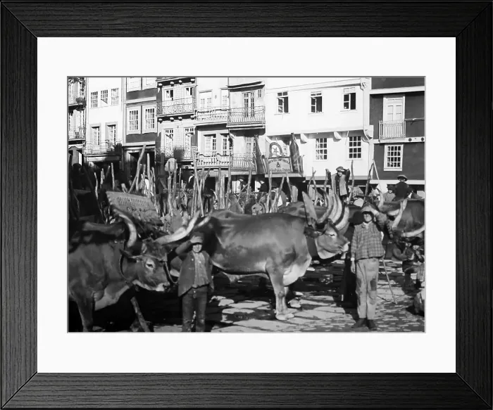 Framed Print : Porto, Portugal, early 1900s Framed Print : Porto, Portugal, early 1900s