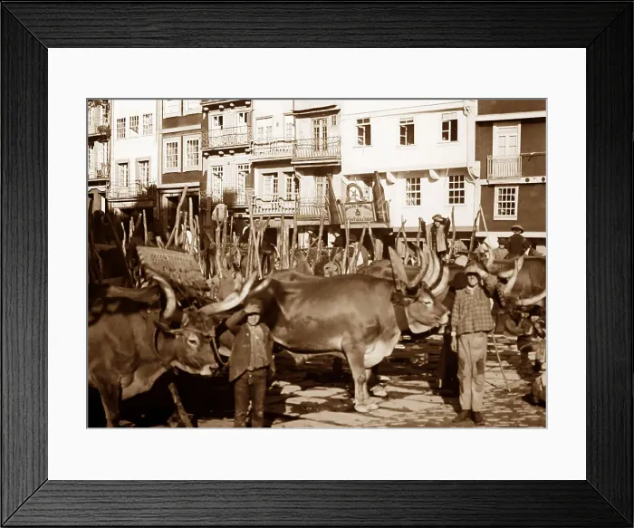 Framed Print : Porto, Portugal Framed Print : Porto, Portugal