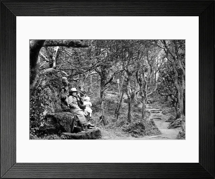 Framed Print : The Landslip, Bonchurch, Isle of Wight, Victorian period Framed Print : The Landslip, Bonchurch, Isle of Wight, Victorian period