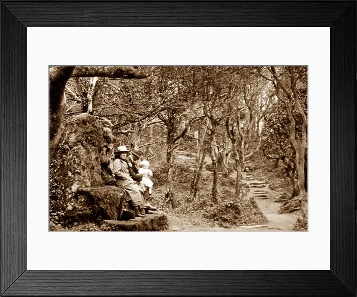 Framed Print : Bonchurch Landslip, Isle of Wight Framed Print : Bonchurch Landslip, Isle of Wight