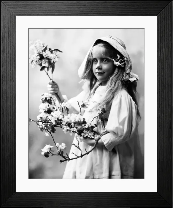 Framed Print : Victorian studio portrait girl with apple blossom Framed Print : Victorian studio portrait girl with apple blossom