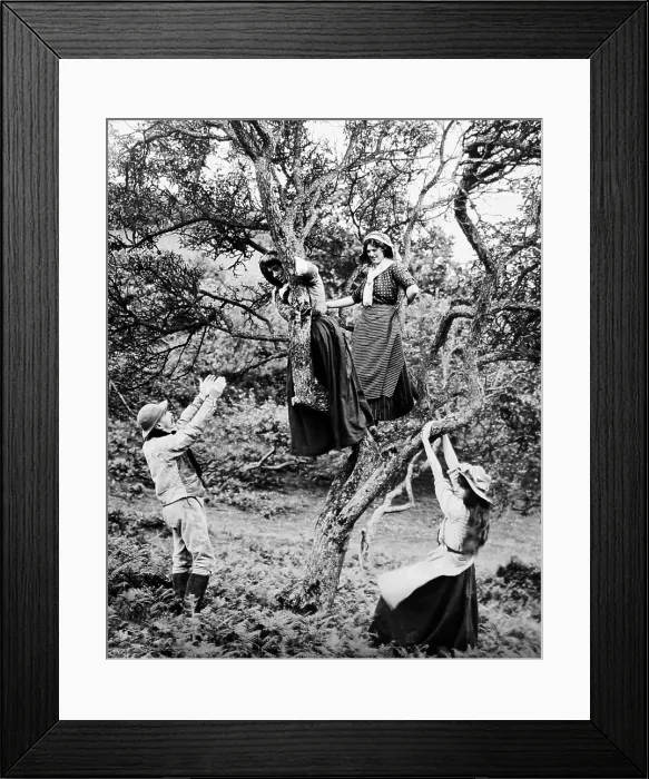 Framed Print : Rural life, adults playing, Victorian period Framed Print : Rural life, adults playing, Victorian period