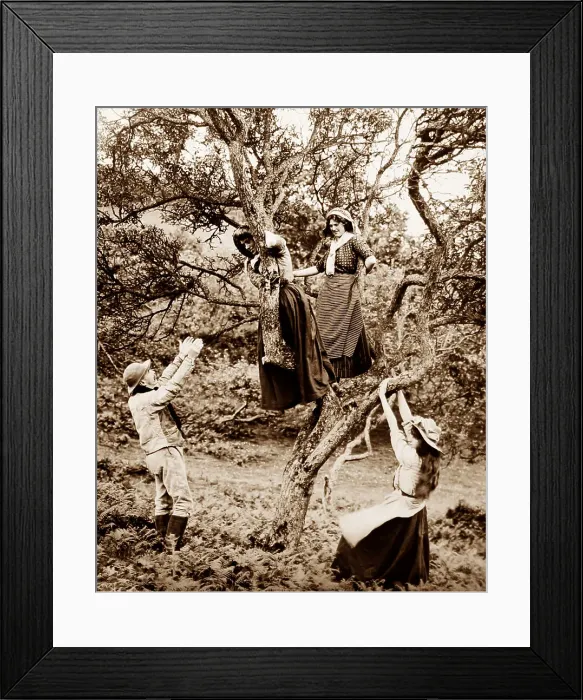 Framed Print : Rural Idyll Framed Print : Rural Idyll
