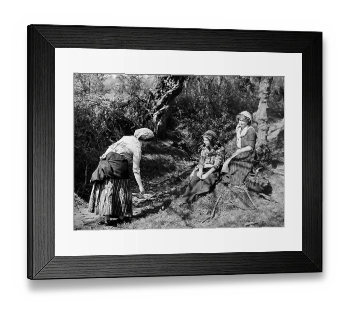 Framed Print : Rural Idyll Framed Print : Rural Idyll