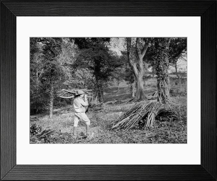 Framed Print : Woodman Framed Print : Woodman