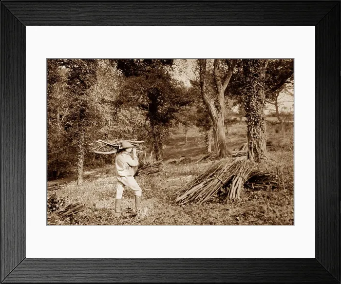 Framed Print : Rural life, Woodman Victorian period Framed Print : Rural life, Woodman Victorian period