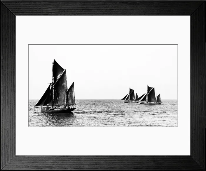 Framed Print : Brixham trawlers Framed Print : Brixham trawlers