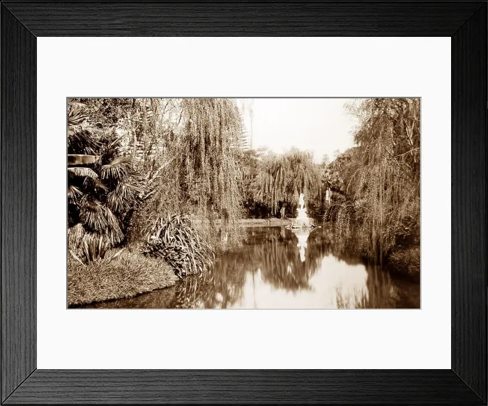 Framed Print : Botanic Gardens, Sydney, NSW, Australia, Victorian period Framed Print : Botanic Gardens, Sydney, NSW, Australia, Victorian period