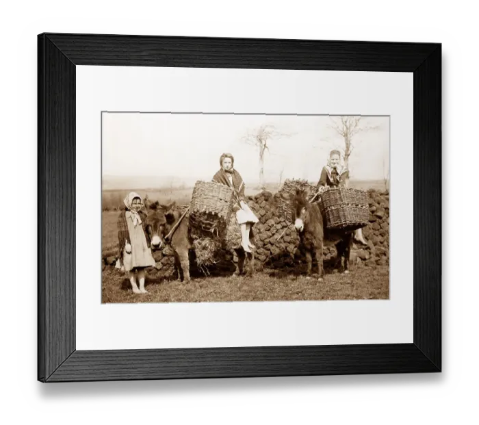 Framed Print : Carrying turf, Co Mayo, West of Ireland, early 1900s Framed Print : Carrying turf, Co Mayo, West of Ireland, early 1900s