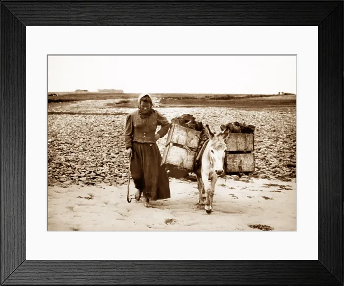 Framed Print : Carrying turf in tea boxes, Geesala, West of Ireland Framed Print : Carrying turf in tea boxes, Geesala, West of Ireland