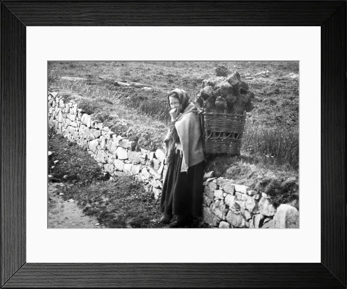 Framed Print : Carrying turf in a creel, West of Ireland, early 1900s Framed Print : Carrying turf in a creel, West of Ireland, early 1900s