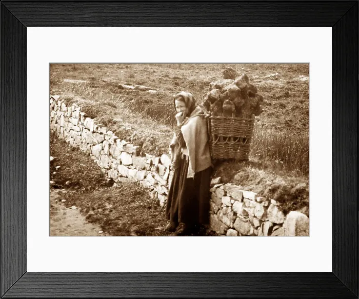 Framed Print : Carrying turf in a creel, West of Ireland, early 1900s Framed Print : Carrying turf in a creel, West of Ireland, early 1900s
