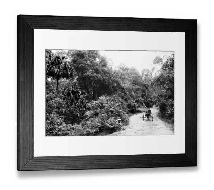 Framed Print : The Bulli Pass, NSW, Australia, Victorian period Framed Print : The Bulli Pass, NSW, Australia, Victorian period