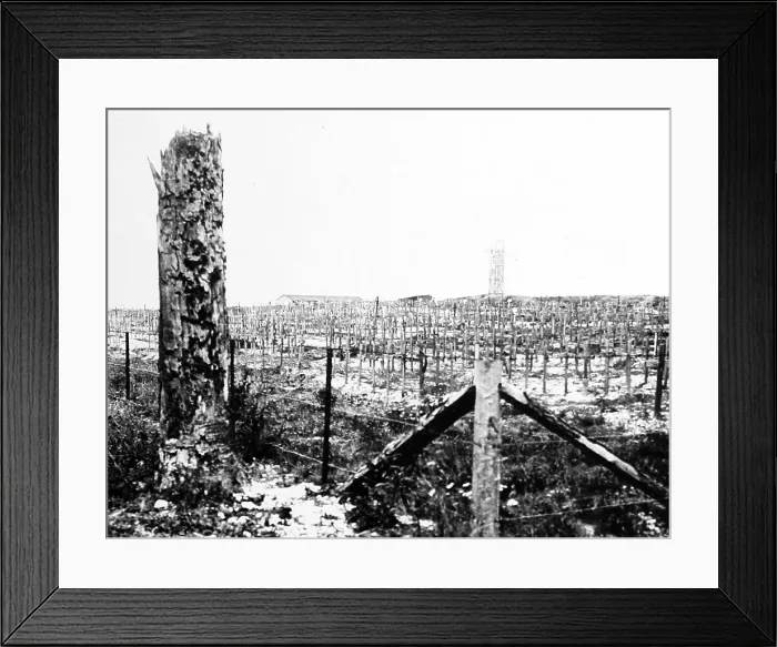 Framed Print : Connaught Cemetery, Thiepval Ridge, - WW1 Framed Print : Connaught Cemetery, Thiepval Ridge, - WW1