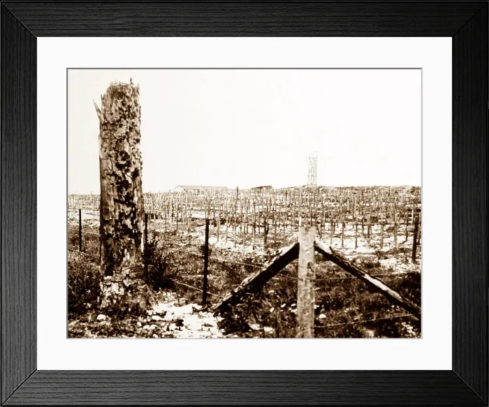 Framed Print : Connaught Cemetery, Thiepval Ridge, - WW1 Framed Print : Connaught Cemetery, Thiepval Ridge, - WW1