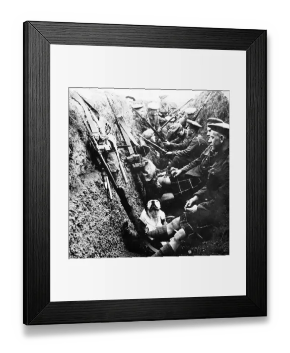 Framed Print : Seaforth Highlanders (and dog) during the First World War Framed Print : Seaforth Highlanders (and dog) during the First World War