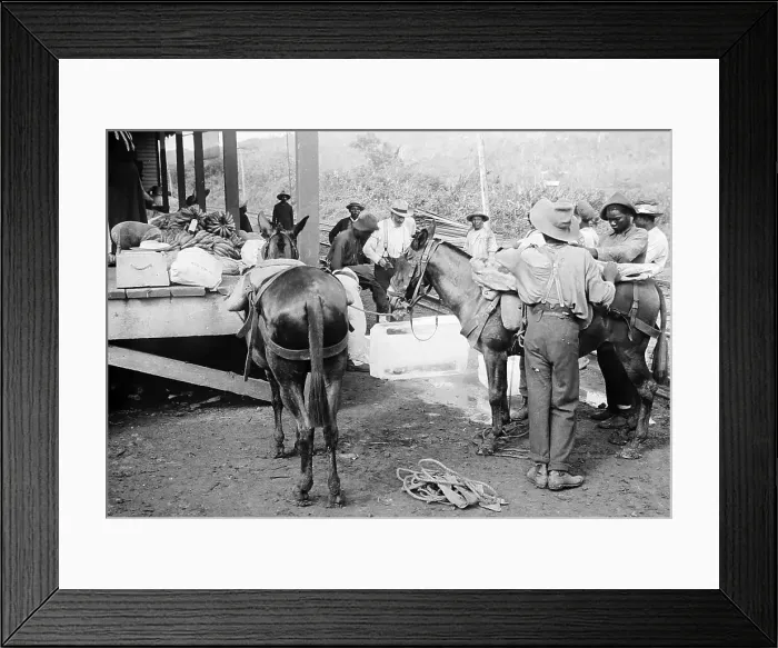 Framed Print : Loading beef and ice at Culebra Railway Station in Panama Framed Print : Loading beef and ice at Culebra Railway Station in Panama