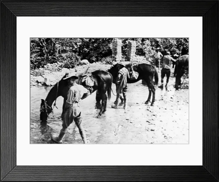 Framed Print : Australian horsemen during WW1 Framed Print : Australian horsemen during WW1