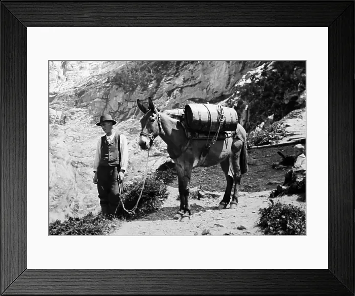 Framed Print : A porter on a glacier, Grindelwald, Switzerland Framed Print : A porter on a glacier, Grindelwald, Switzerland