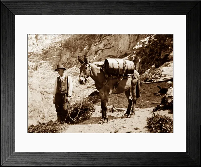 Framed Print : A porter on a glacier, Grindelwald, Switzerland Framed Print : A porter on a glacier, Grindelwald, Switzerland