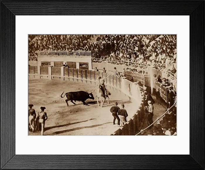 Framed Print : Spanish Bull Fight Framed Print : Spanish Bull Fight