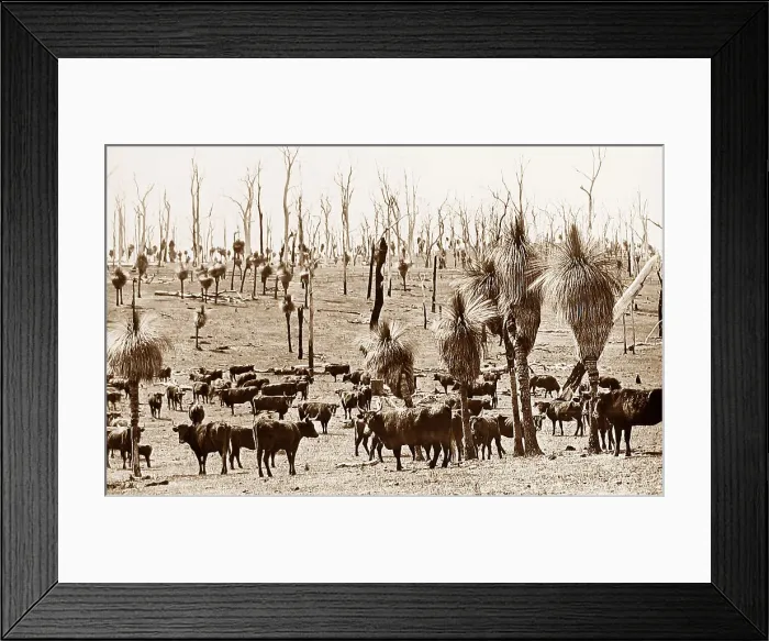 Framed Print : Darling Downs, Perth, Western Australia Framed Print : Darling Downs, Perth, Western Australia