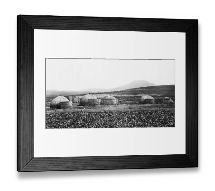 Framed Print : Africa Zulu Kraal near Amajuba Hill pre-1900 Framed Print : Africa Zulu Kraal near Amajuba Hill pre-1900