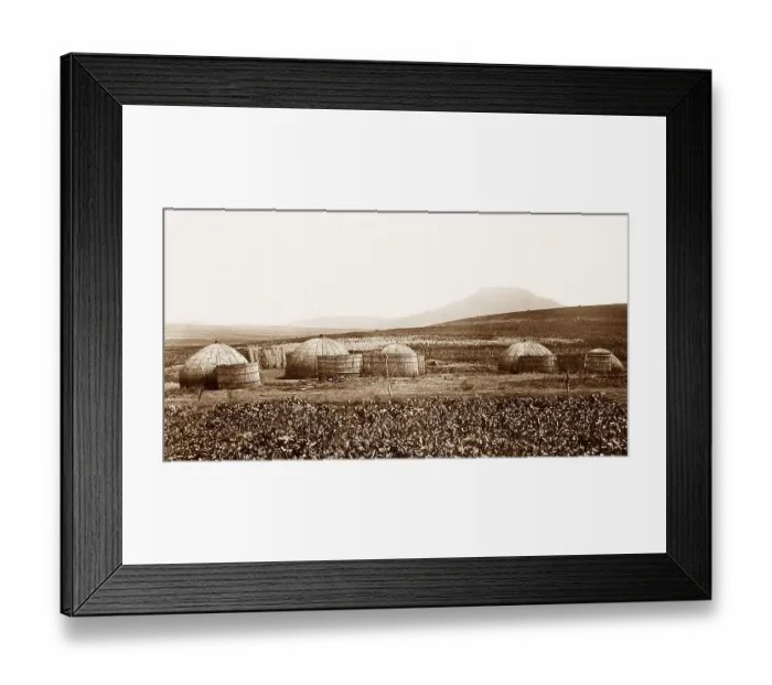 Framed Print : Africa Zulu Kraal near Amajuba Hill pre-1900 Framed Print : Africa Zulu Kraal near Amajuba Hill pre-1900