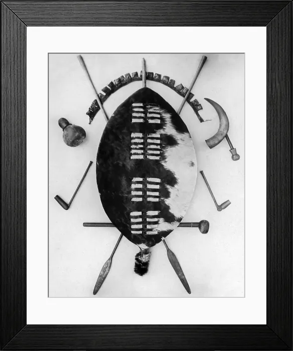 Framed Print : Africa Zulu trophy shield pre-1900 Framed Print : Africa Zulu trophy shield pre-1900