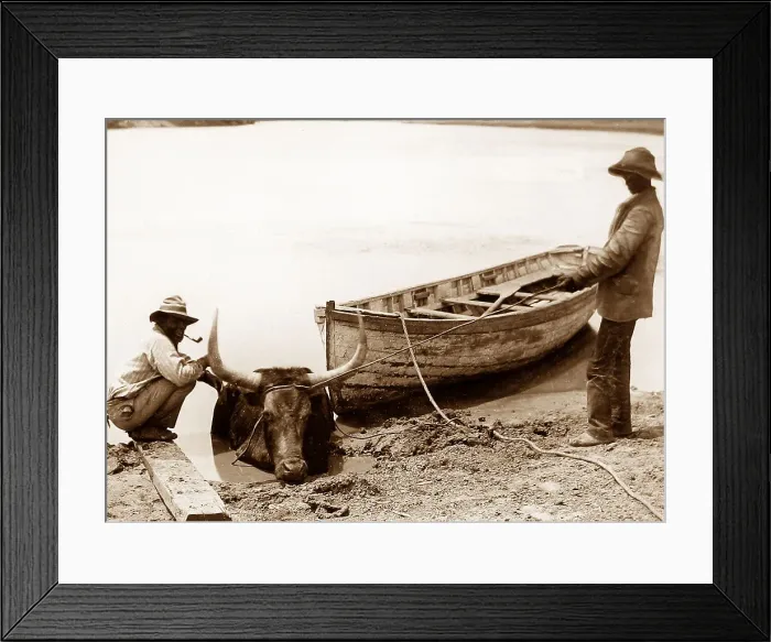 Framed Print : Africa Cape Colony pre-1900 Framed Print : Africa Cape Colony pre-1900