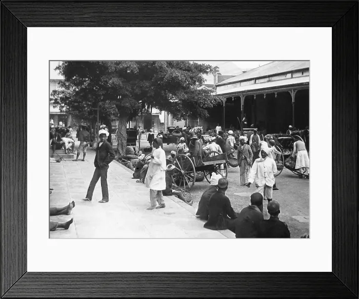 Framed Print : Africa Durban Fruit Market pre-1900 Framed Print : Africa Durban Fruit Market pre-1900
