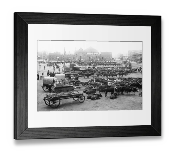 Framed Print : Africa Johannesburg Market Square pre-1900 Framed Print : Africa Johannesburg Market Square pre-1900